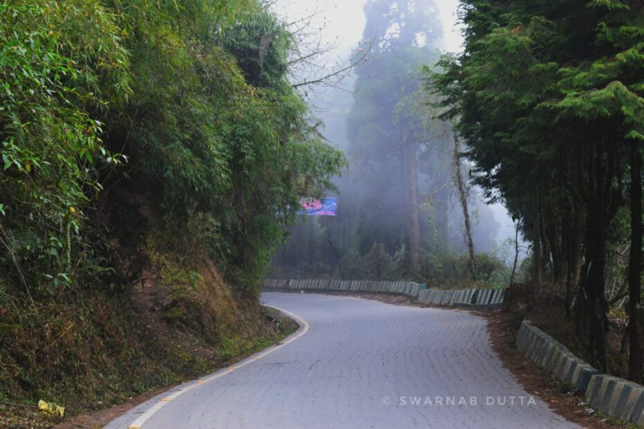 Scenic drive